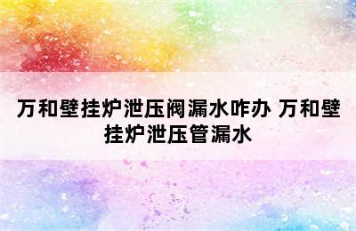 万和壁挂炉泄压阀漏水咋办 万和壁挂炉泄压管漏水